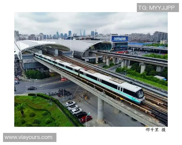 上海乒乓球队实力飙升创造历史新高引发全国关注