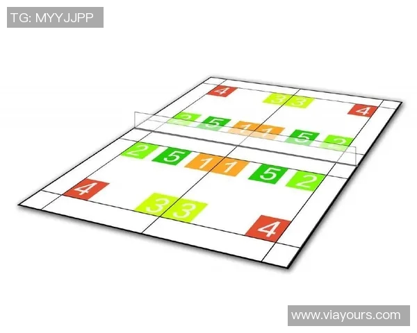 成都羽毛球队战术表现数据分析与策略优化研究