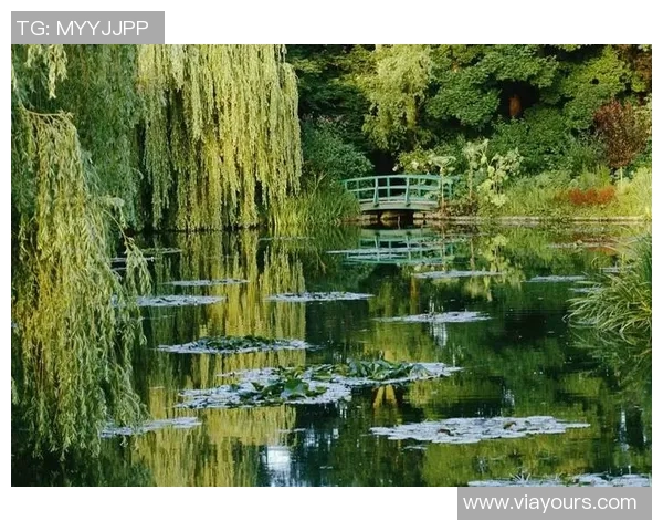 布莱克尼的秘密花园探险之旅与自然和谐共生的奇妙体验