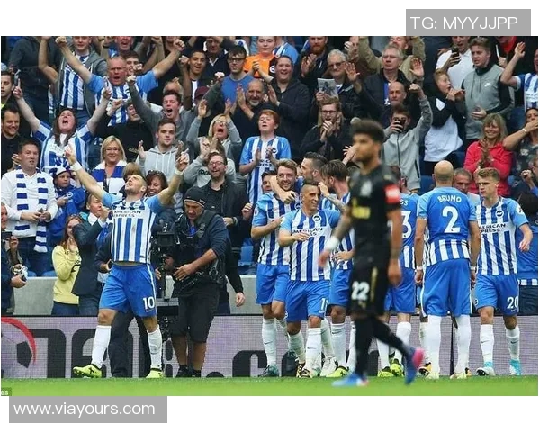 狼队与布莱顿对决前瞻分析及比赛结果预测