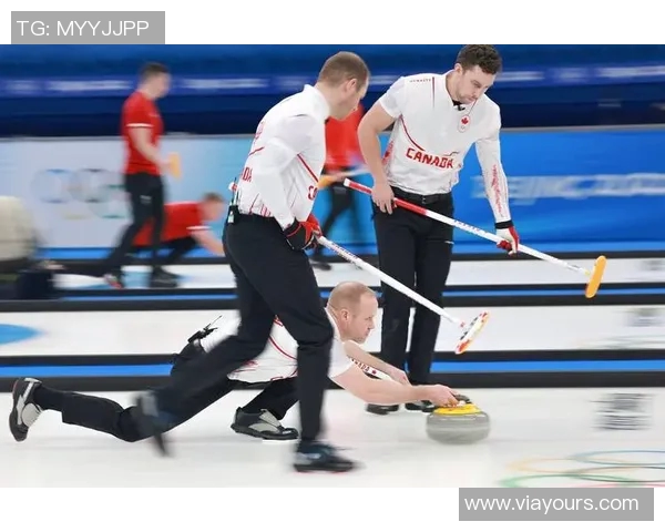 轮椅冰壶对决加拿大队展现竞技精神与团结力量
