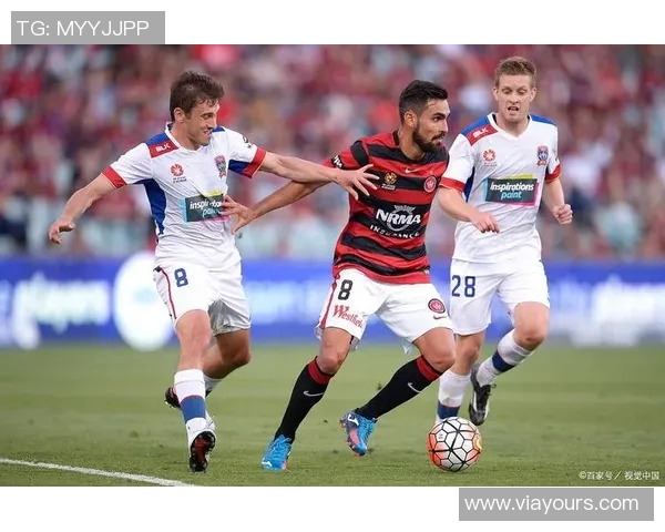 布里斯班对阵惠灵顿精彩直播全程回顾与赛后分析